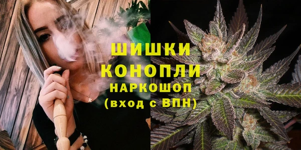 гашик Осташков