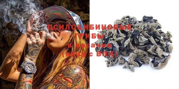 индика Осинники