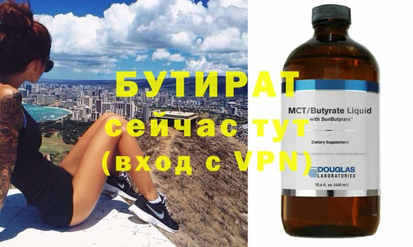 индика Осинники