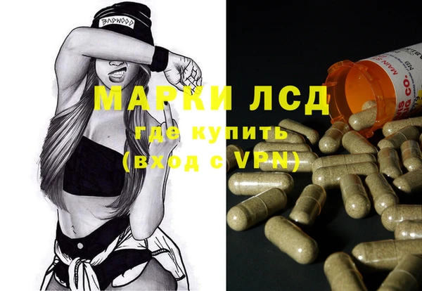 индика Осинники