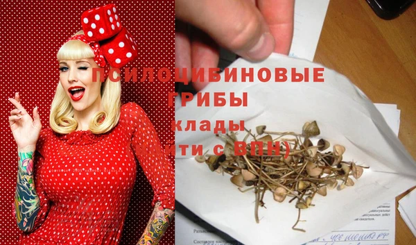 гашик Осташков