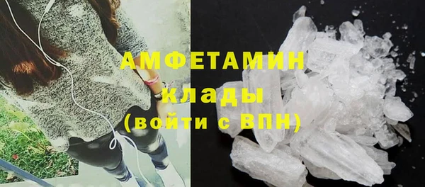 гашик Осташков