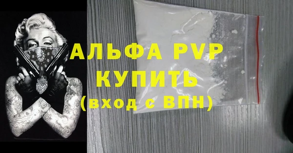 индика Осинники