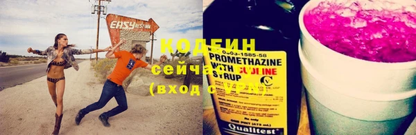 индика Осинники