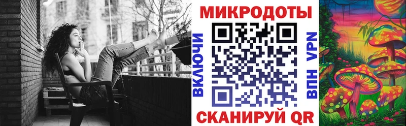 KRAKEN tor  Собинка  Псилоцибиновые грибы Psilocybine cubensis 